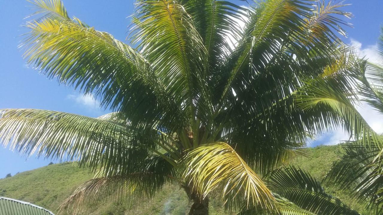 Location " La Pirogue " Maison D'Hotes A Moorea Haapiti Exterior photo